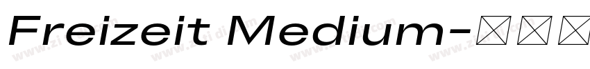 Freizeit Medium字体转换 Freizeit Medium字体转换
